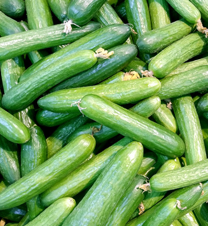 Огурцы среднеплодные гладкие, весовые