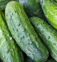 Огурцы короткоплодные грунтовые, весовые