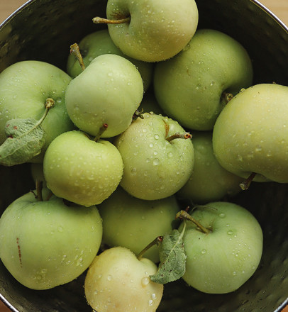 Яблоки Симиренко фасованные