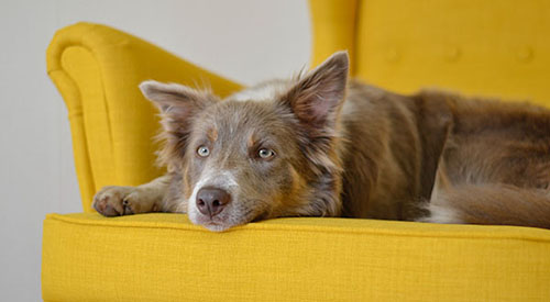 Скидка 15% до 30 августа